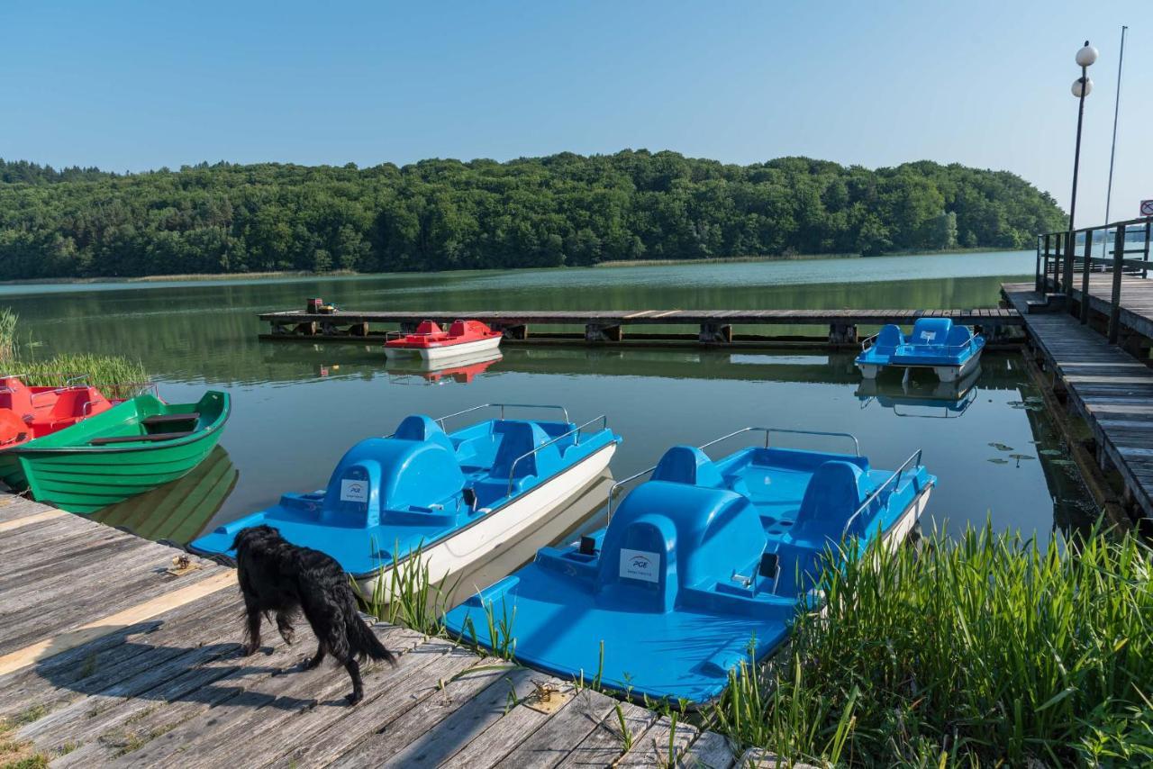 Energetyczny Zakatek Villa Krzeszna Exteriör bild